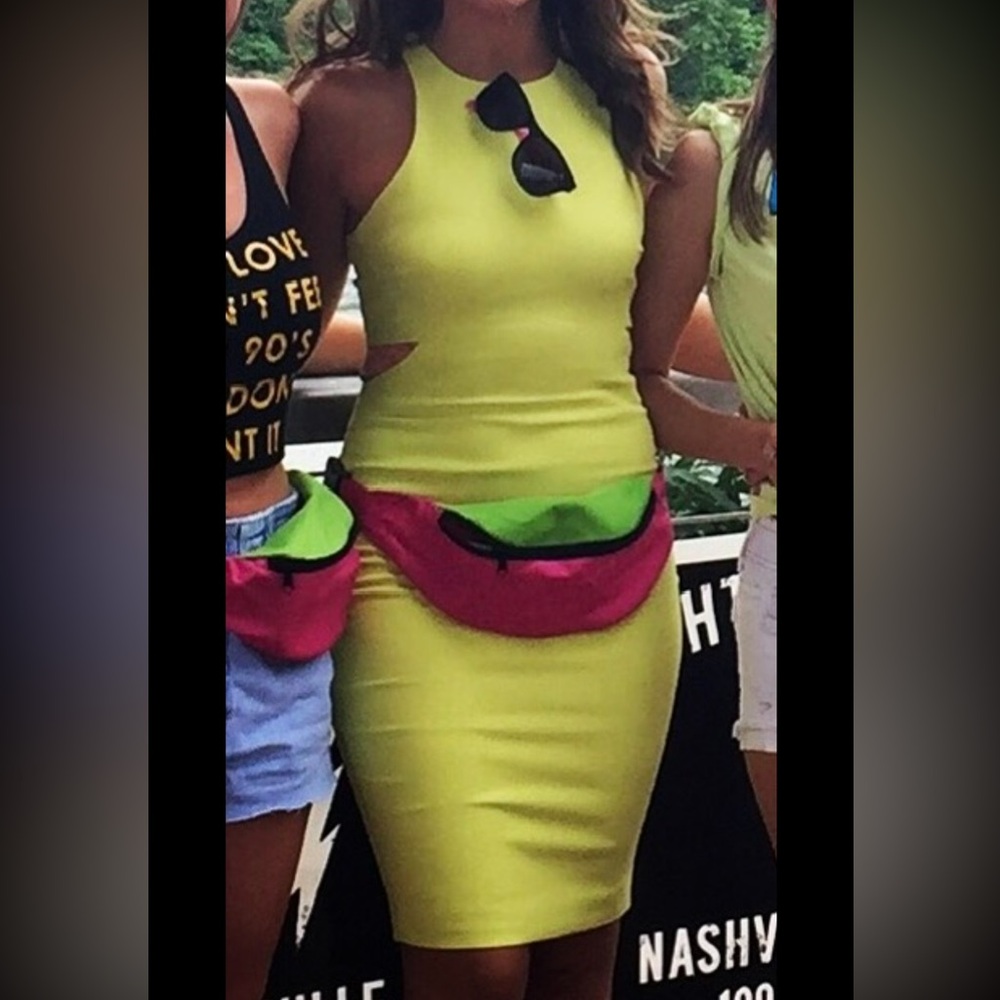 WORN ONCE: Elizabeth and James Oriana Side-Cutout Dress